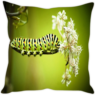 

Sleep Nature's Abstract Cushions Cover(Pack of 5, 40.64 cm*40.64 cm, Multicolor)