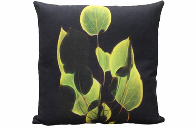 

Adishma Printed Cushions Cover(40 cm*40 cm, Black, Green)