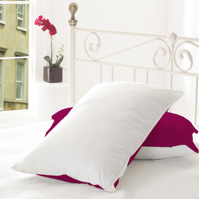 38% OFF on Misr Solid Pillows Cover(Pack of 2, 43.18 cm*68.58 cm, Pink) 38% OFF on Misr Solid Pillows Cover(Pack of 2, 43.18 cm*68.58 cm, Pink)