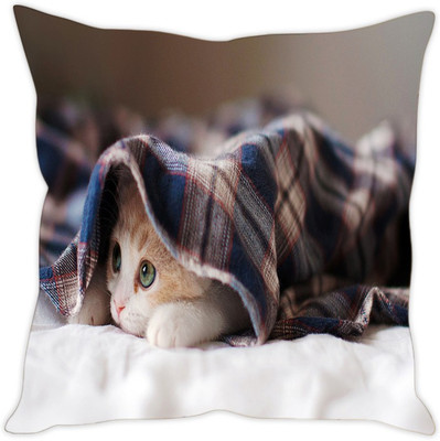 

Sleep Nature's Abstract Cushions Cover(40.64 cm*40.64 cm, Multicolor)