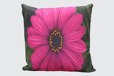 

Adishma Printed Cushions Cover(40 cm*40 cm, Pink, Green), Green;pink