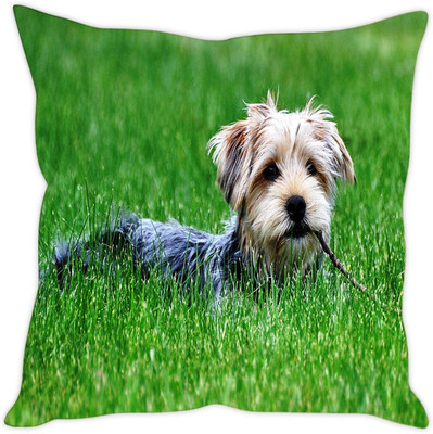 

Sleep Nature's Abstract Cushions Cover(Pack of 5, 40.64 cm*40.64 cm, Multicolor)