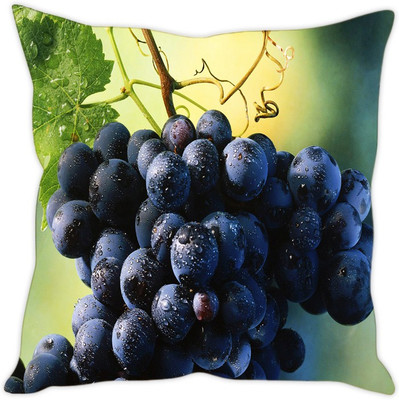 

Sleep Nature's Abstract Cushions Cover(40.64 cm*40.64 cm, Multicolor)