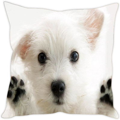 

Sleep Nature's Abstract Cushions Cover(Pack of 5, 40.64 cm*40.64 cm, Multicolor)