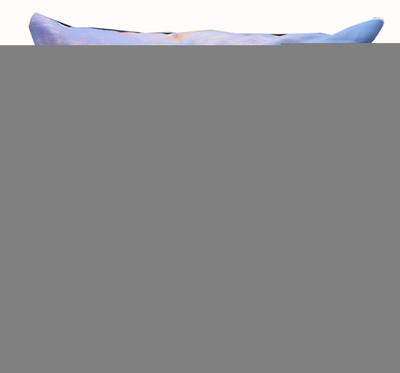 

Adishma Printed Cushions Cover(40 cm*40 cm, Multicolor)
