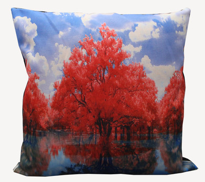 

Adishma Printed Cushions Cover(40 cm*40 cm, Red, Blue), Blue;red