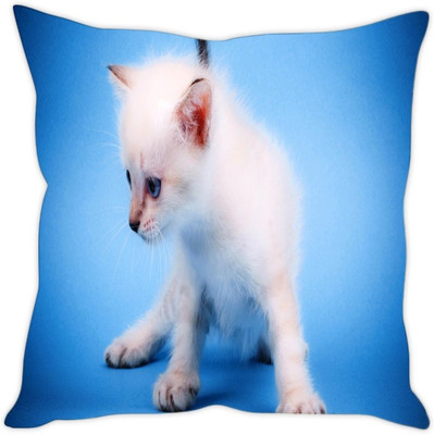 

Sleep Nature's Abstract Cushions Cover(40.64 cm*40.64 cm, Multicolor)