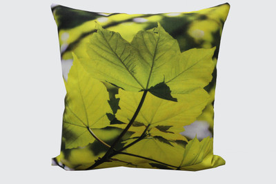 

Adishma Printed Cushions Cover(40 cm*40 cm, Green)