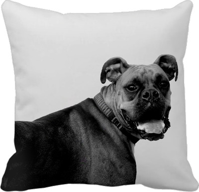 

Tied Ribbons Printed Cushions Cover(30 cm*30 cm, Multicolor)