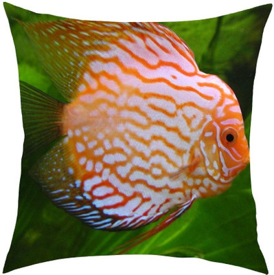56% OFF on meSleep Animal Cushions Cover(40.64 cm*40.64 cm, Multicolor) 56% OFF on meSleep Animal Cushions Cover(40.64 cm*40.64 cm, Multicolor)