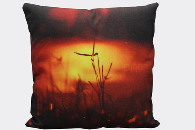 

Adishma Printed Cushions Cover(40 cm*40 cm, Black, Orange)