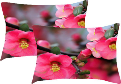 

Sleep Nature's Printed Pillows Cover(Pack of 2, 68.58 cm*45.72 cm, Multicolor)