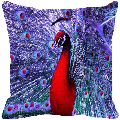 

Fabulloso Printed Cushions Cover(30.48 cm*30.48 cm, Multicolor)
