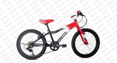 

Raleigh Mx 20 7Speed Blue&Black 20 T 7 Gear Recreation Cycle(Blue)