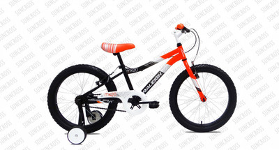 Raleigh Mx 20 Ss Green&Black 20 T Recreation Cycle(Single Speed, Green)