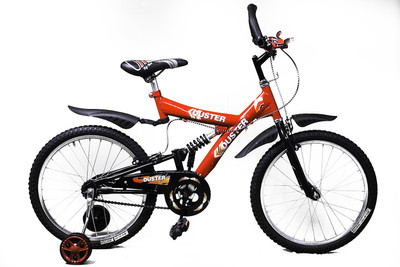 

Duster Sportz RS 20" Red 20 T Recreation Cycle(Single Speed, Red)
