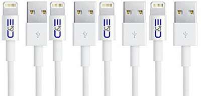 

New Tech Junkies 3218191 Lightning Cable(Maroon)