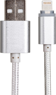 

Digitek DC1M i6P Lightning Cable(Silver)