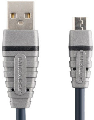 

Bandridge BCL4901 USB Cable(Blue)