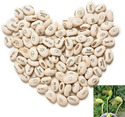 

Nirzara White Seeds - 50 g