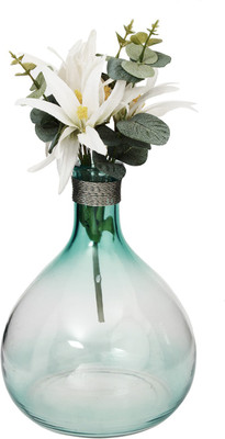 

Store Indya Indsinao17 Decorative Bottle(Pack of 1)