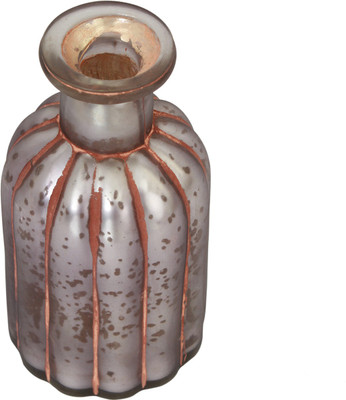

Store Indya Indsinao08 Decorative Bottle(Pack of 1)