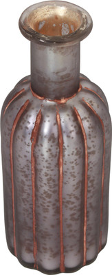 

Store Indya Indsinao09 Decorative Bottle(Pack of 1)