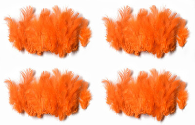 

Rooh Wellness Pack of 160 Decorative Feathers(2.5cm Synthetic Material)