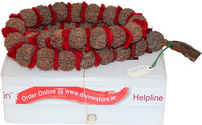 

Divine Store Mala Deity Ornament(5 Mukhi Rudraksha Mala)