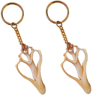 

CraftEra 2 Compartments Ceramic Handmade Shell Stylish Keyring(Brown)