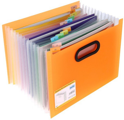 

Solo 12 Compartments Polypropylene Plastic Desktop Expanding Document Organizer(Frosted Orange)