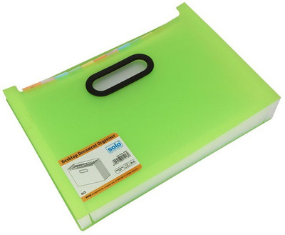 

Solo 12 Compartments Polypropylene Plastic Desktop Expanding Document Organiser(Frosted Green)