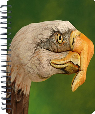 

Shopmania A5 Notebook(Designer-NB-571, Multicolor)