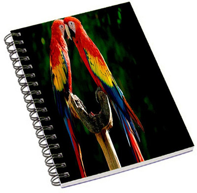 

Shopmania A5 Notebook(Black & white Guitar, Multicolor)