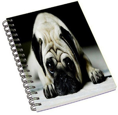 

Shopmania A5 Notebook(Designer-NB-222, Multicolor)