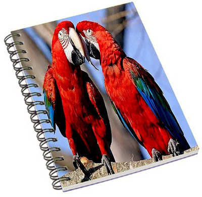 

Shopmania A5 Notebook(Super Bike, Multicolor)
