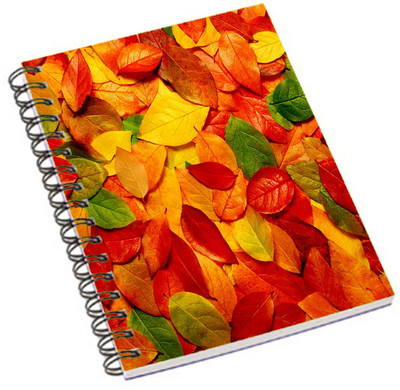 

Shopmania A5 Notebook(DESIGNER PRINTED NOTEBOOK, Multicolor)