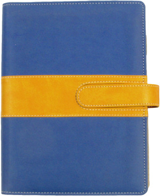 A1 Regular Planner/Organizer(2017, Multicolor)