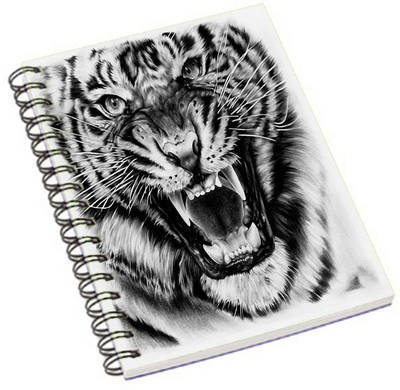 

Shopmania A5 Notebook(DESIGNER PRINTED NOTEBOOK, Multicolor)