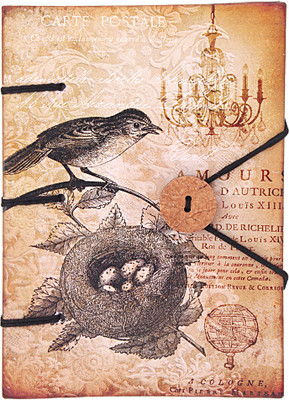 

Craft Play A5 Diary(Amour Print Special binding, Brown)