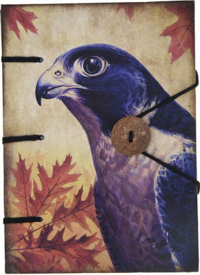 

Craft Play A5 Diary(Special Binding Pigeon Bird With Button, Multicolor)