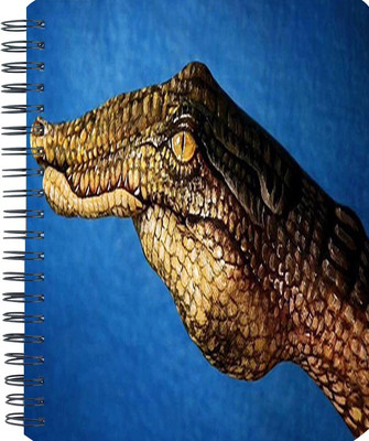 

Shopmania A5 Notebook(Designer-NB-587, Multicolor)