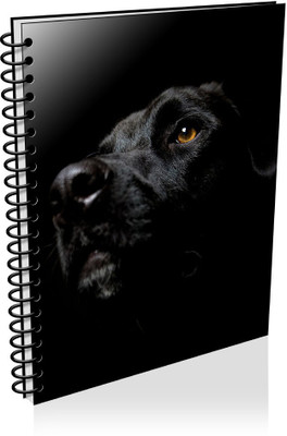 

VenTechno A5 Diary(Black Theme A5 - Diary (Spiral Bound), Multicolor)