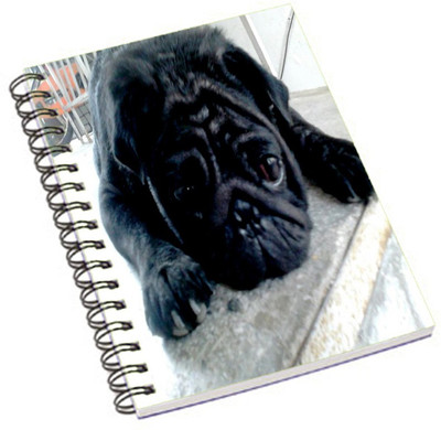 

Shopmania A5 Notebook(DESIGNER PRINTED NOTEBOOK, Multicolor)