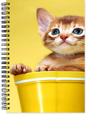 

VenTechno A5 Diary(Awesome Designer Wirebound Ruled Paper Sheets Personal and Office Stationary Notebooks Diary, Multicolor)