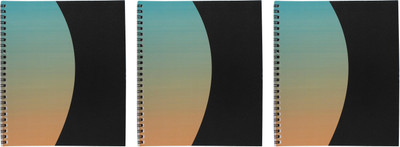 

PapyrusBolsys Regular Notebook(Twilight, Multicolor, Pack of 3)