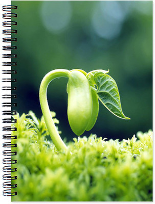 

VenTechno A5 Diary(Life Theme Wirebound Ruled Paper Sheets Personal and Office Stationary Notebooks Diary, Multicolor)