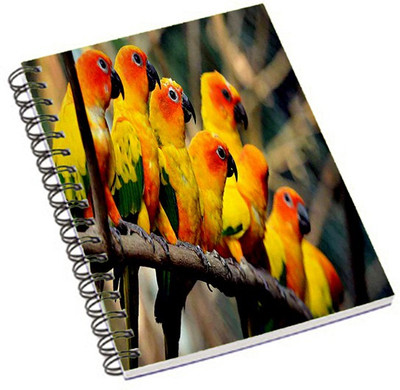 

Shopmania A5 Notebook(Joker, Multicolor)
