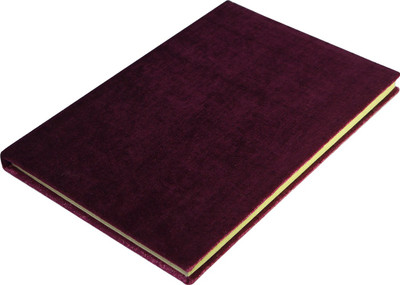 

R S Jewels Regular Diary(Recycled Paper Gift Notepad, Purple)