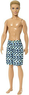 

Barbie Beach Ken(Multicolor)